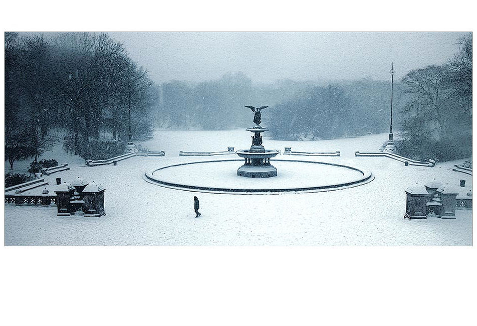 Central Park in winter.