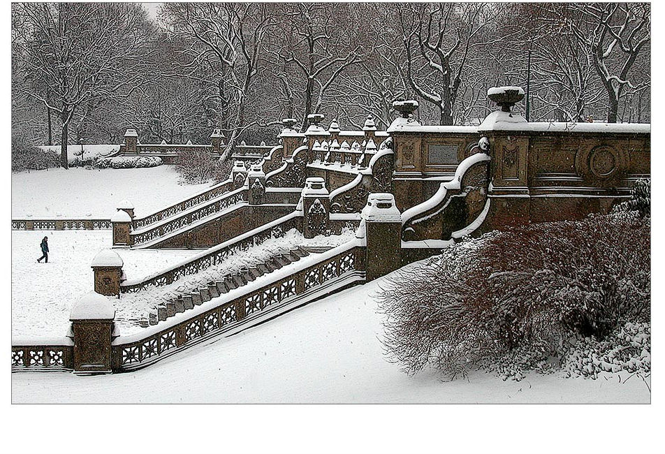 Central Park in winter.