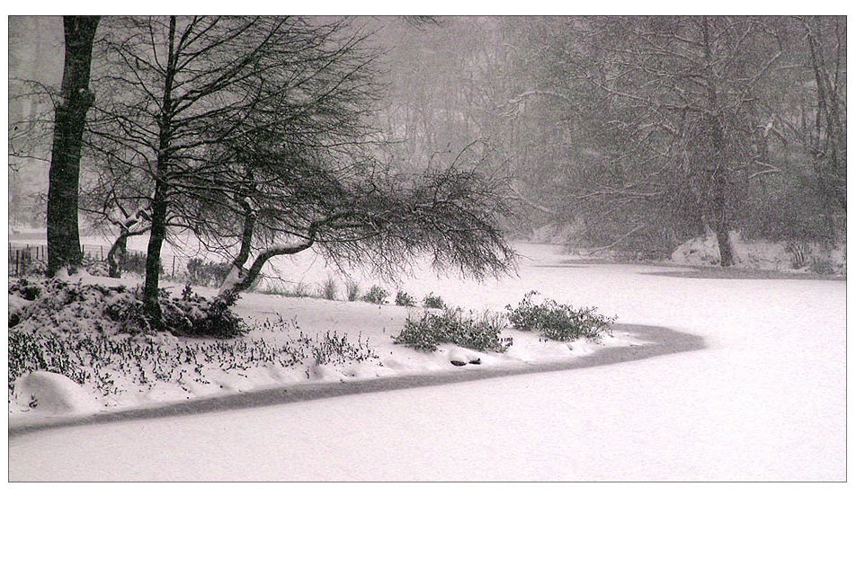 Central Park in winter.