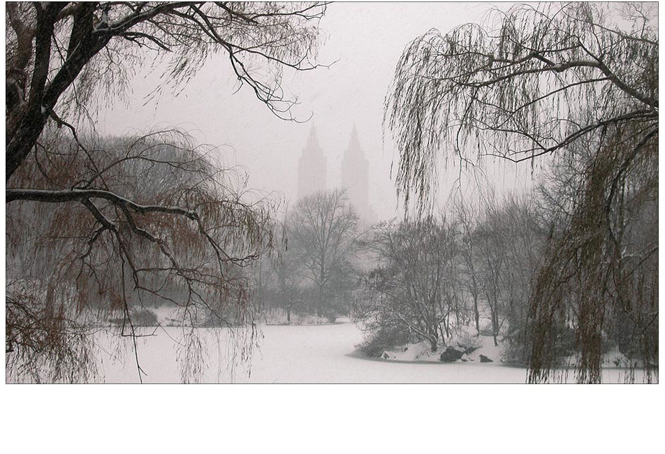 Central Park in winter.