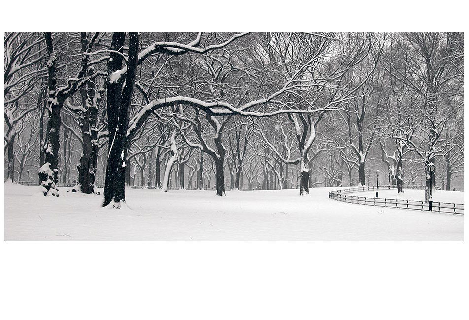 Central Park in winter.