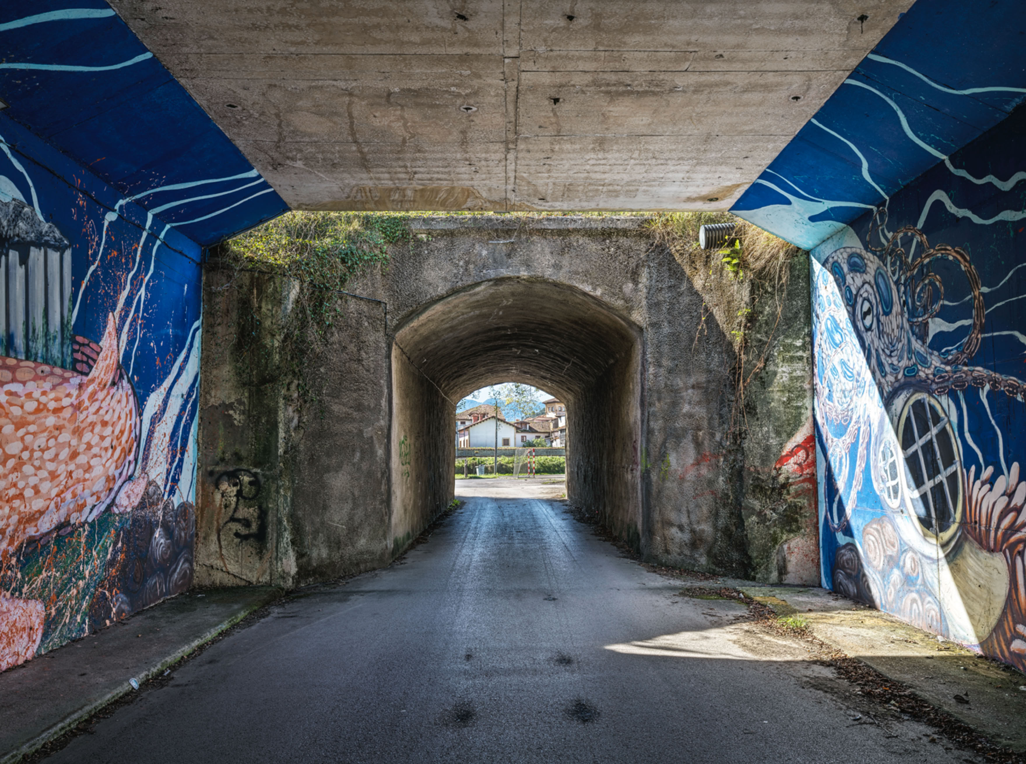 Asturias John Frederick Anderson photographer abandoned bridges landscape