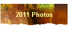 2011 Photos