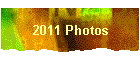 2011 Photos