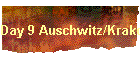 Day 9 Auschwitz/Krakow