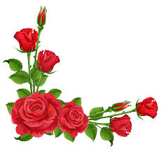 Image result for roses