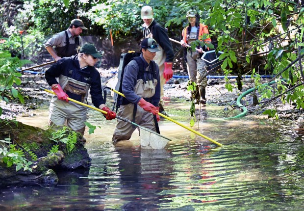 Researchers Tim Smoot, left, and Bentley McNeill work to capture...