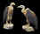 SG-A50 2 vultures.jpg (18890 bytes)