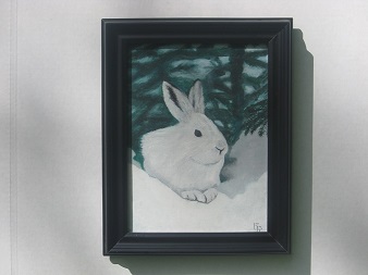Snowshoe Hare #42 $240