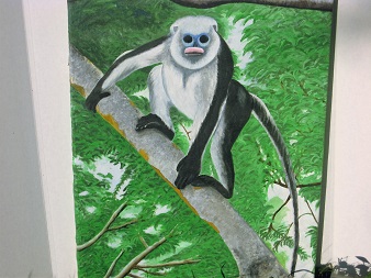 Tonkin Snub Nosed Monkey (Restretched - 20 X 26.5) #1 $120