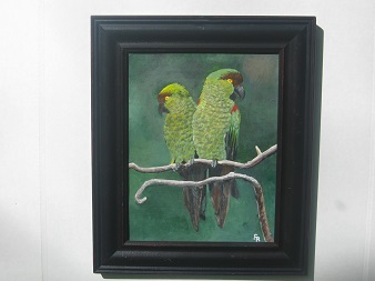 Maroon Fronted Parrots #0000