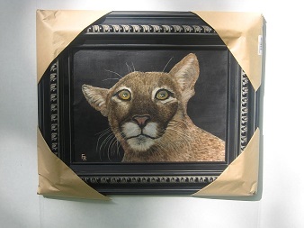 Florida Panther #0021