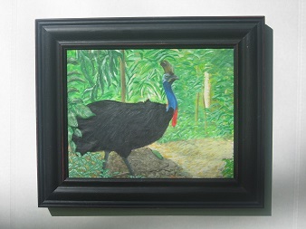 Southern Cassowary  #0004