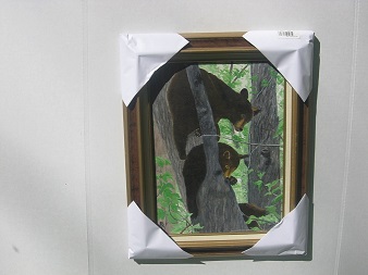 Bear Cubs in Tree #0029