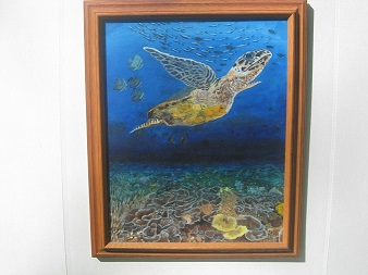 Hawksbill Sea Turtle #0035