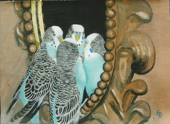 Mirrored Parakeets #0022