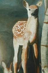 Gazing Fawn #0027