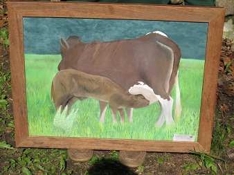 Cow & Calf in Field #0002