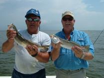 Thumbnail version of DSCF0220.jpg, image 1 of 18