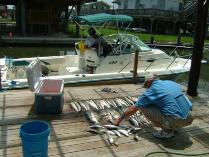 Thumbnail version of DSCF0226.jpg, image 7 of 18