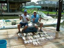 Thumbnail version of DSCF0227.jpg, image 8 of 18