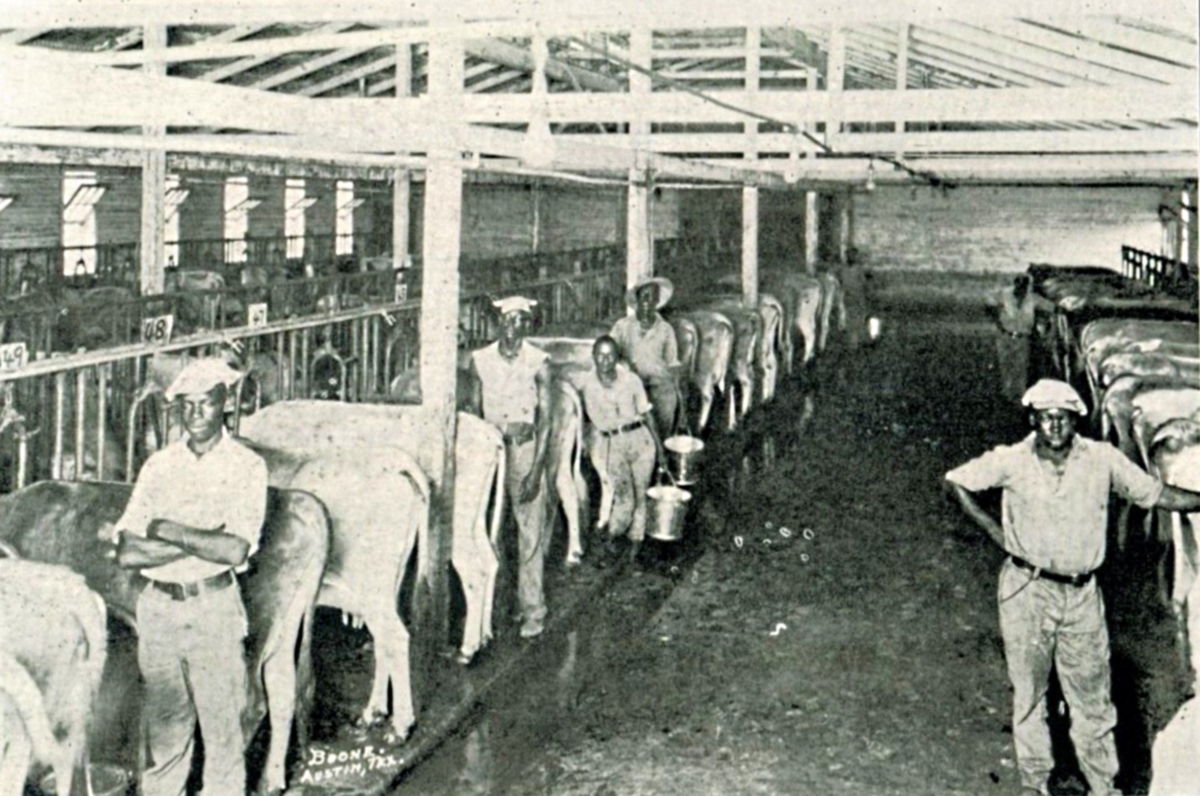 1931 Dairy barn at Gatesville School
