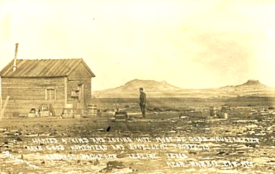 Advertising for Wife in Dallam County Texas in 1800s