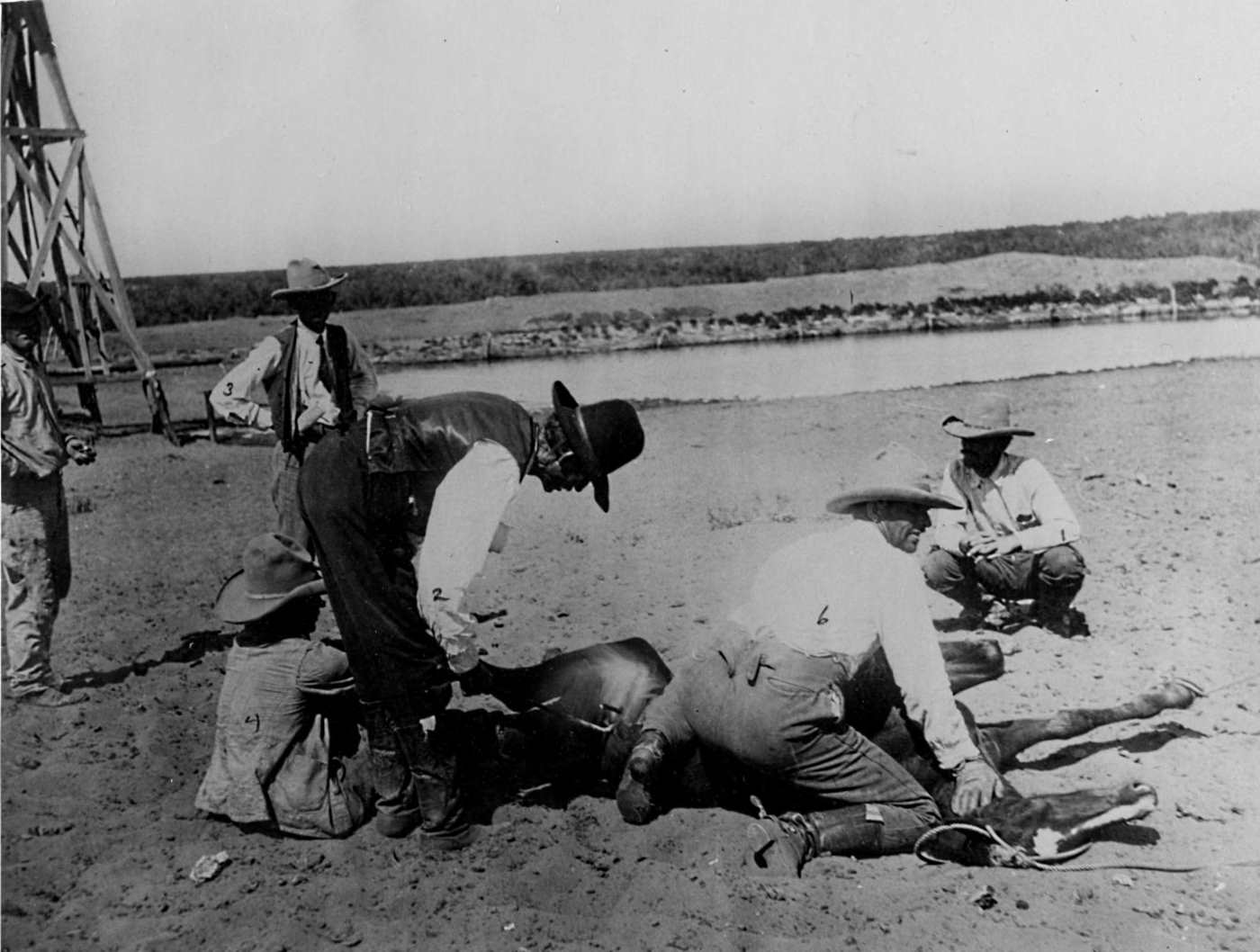 Branding a Horse in Winkler County in 1906