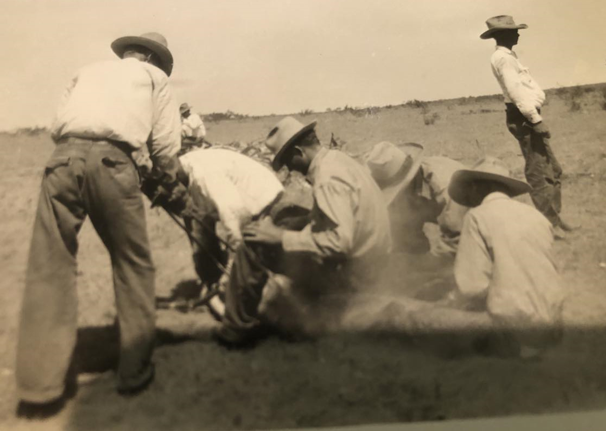 Branding on the Matador Ranch