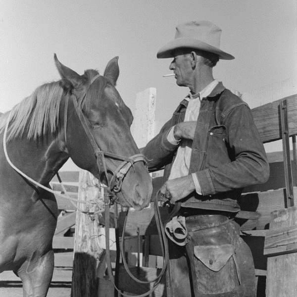 Cattleman with His Horse at 1939 San Angelo Auction