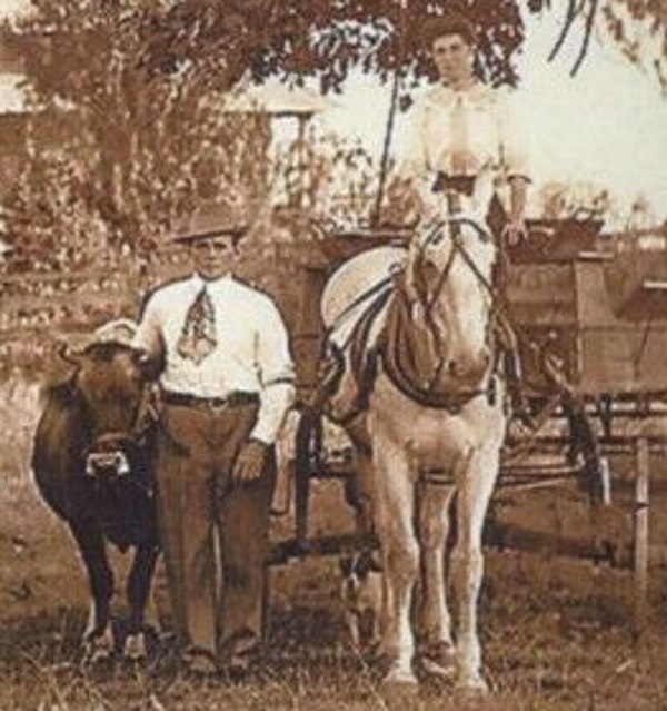 Cedar Hill Tx Man, Wife, Cow, Horse Wagon 1920