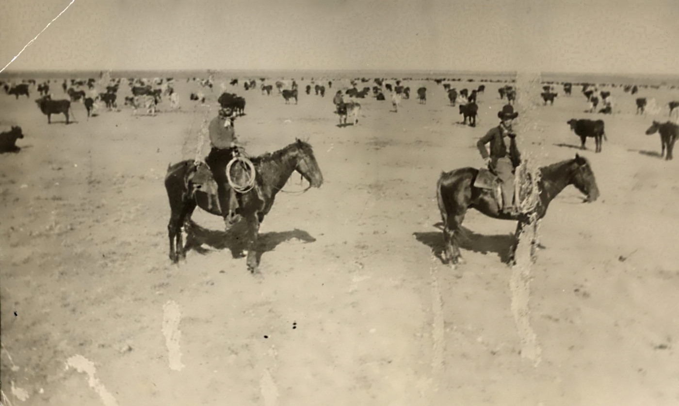 Cowhands and Cattle Near Matador in 1900