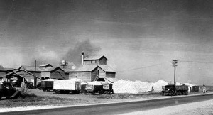 Daniel's Gin in Wolfforth TX 1930s