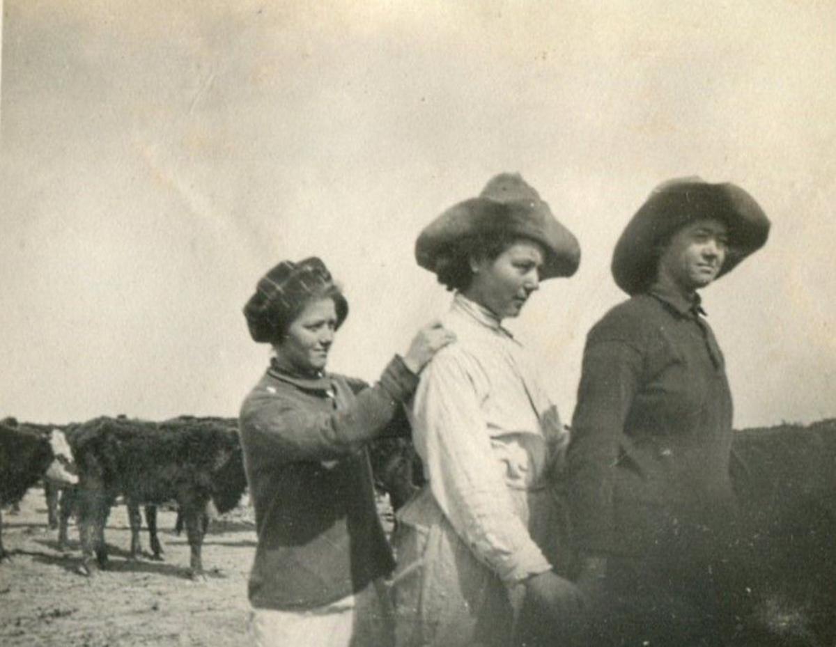 The Short Life of Demmie Hutcherson