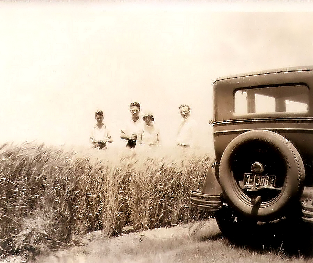 Farm in Moore County Texas in 1931