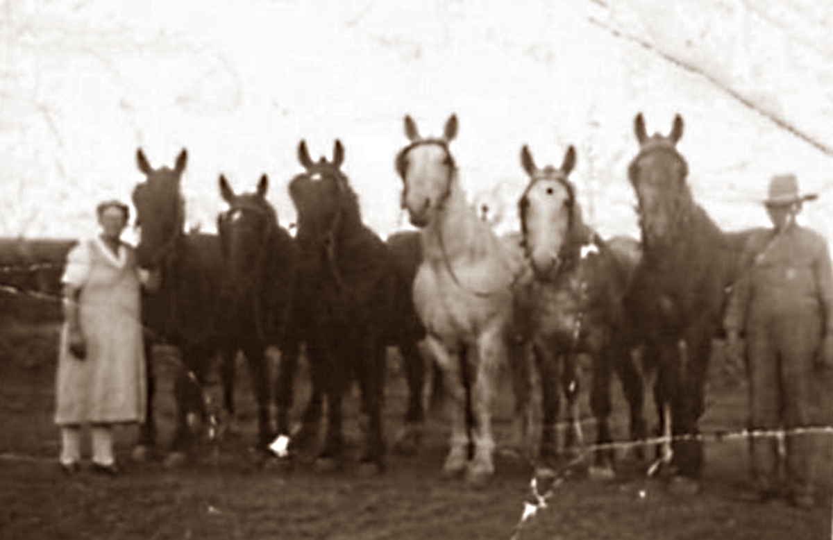 Farmer and Wife with Horses in 1930s