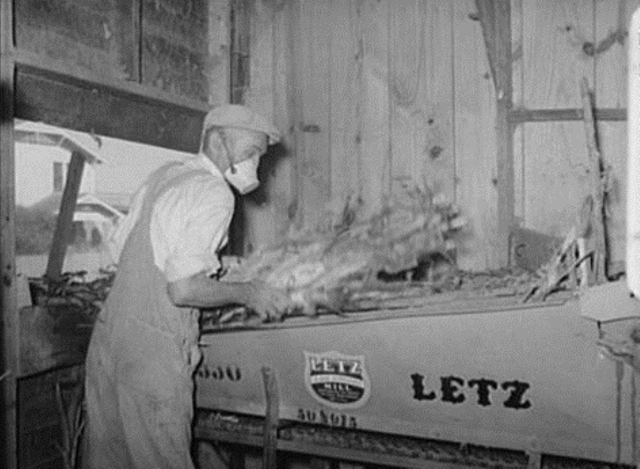 Feed Mill Worker in Taylor Texas in 1939
