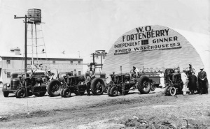 Gin in New Deal Texas 1930