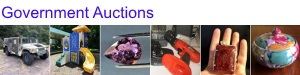 Government Auctions
