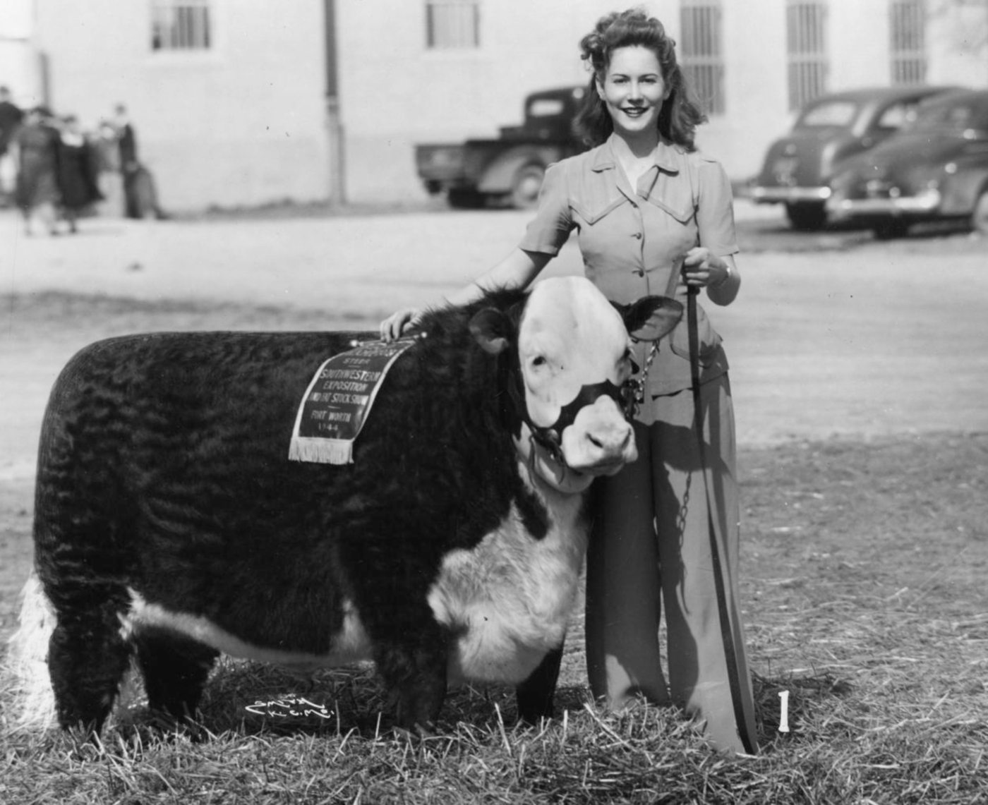 Grand Champion Steer in Mason Texas in 1944