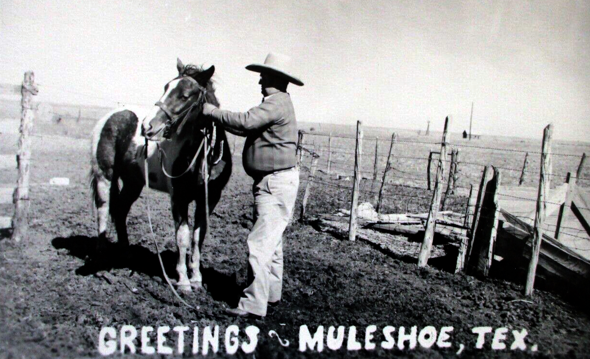 Greetings Muleshoe