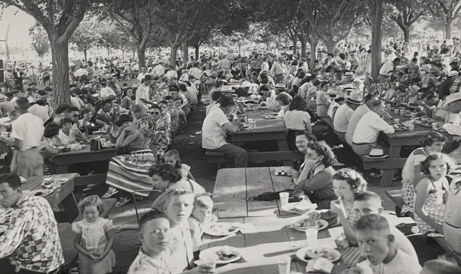 Gulf Oil Day Picnic in 1951