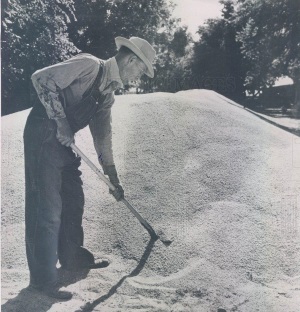 HT Coleman Shovels Wheat Floydada TX 1947