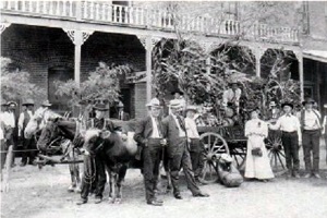 Harvest Time in Front of Llano Hote