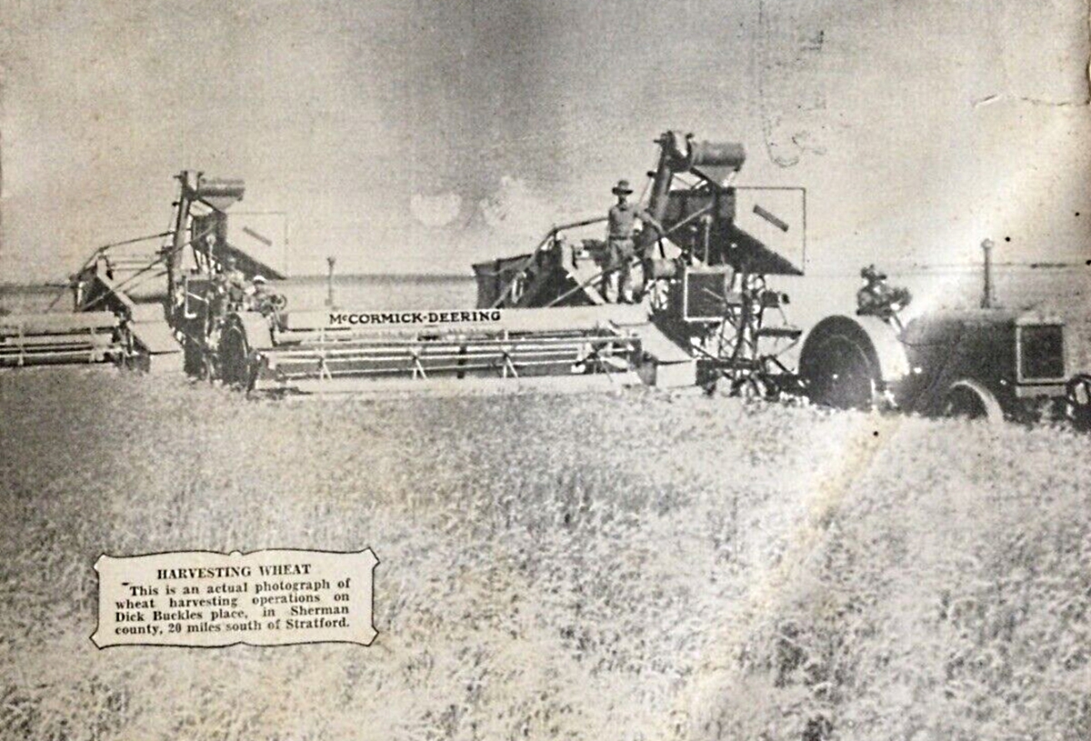 Harvesting Wheat in Sherman County Texas in 1930