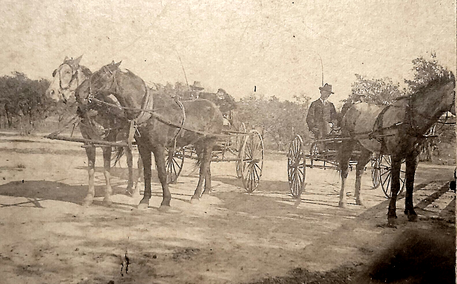 Horse Drawn Carriages 