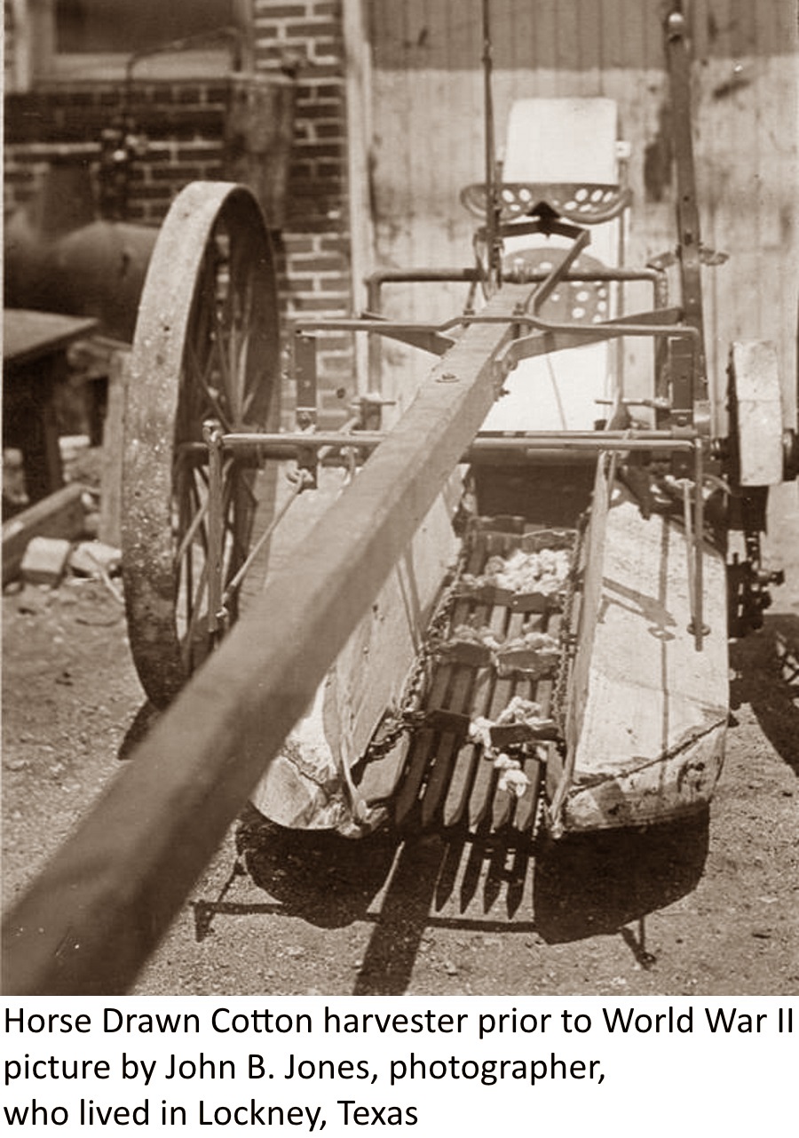 Horse Drawn Cotton Harvestor Lockney Texas 1930's