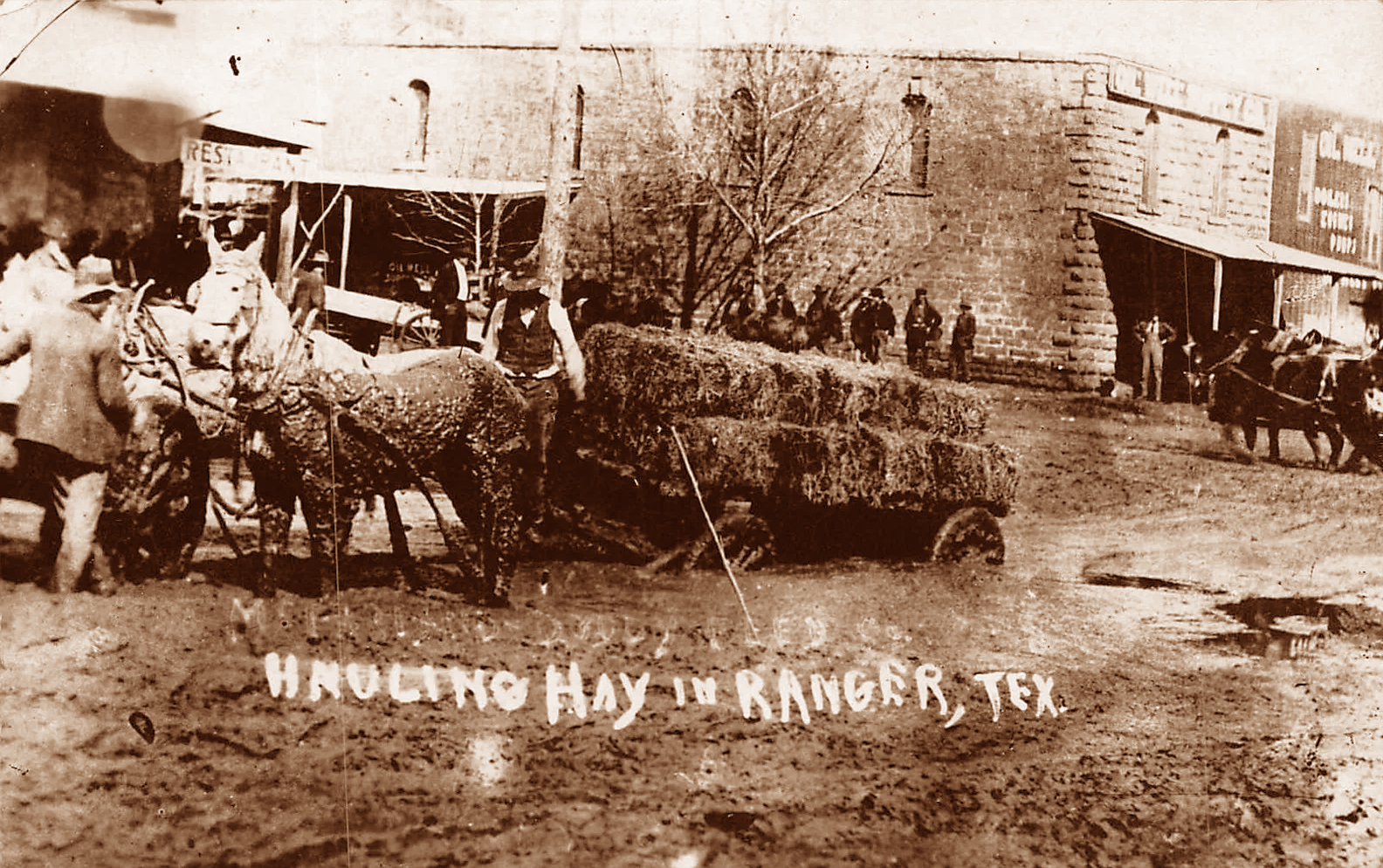 Horse Drawn Wagon Stuck in Mud