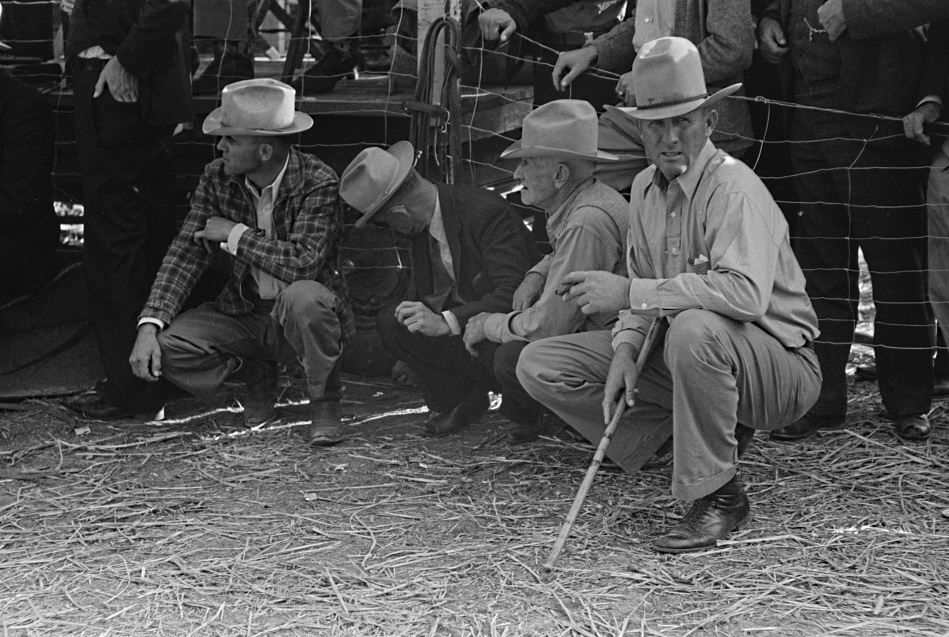 Horse Traders and Handlers Squat below Fence