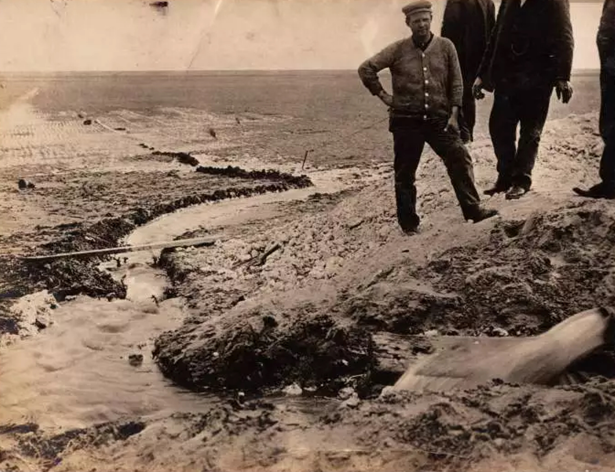 Irrigation in Hale County in 1911